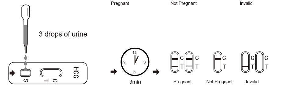 HCG TEST PROCEDURE.jpg